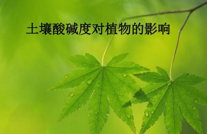 掌握土壤酸堿度，為植物生長保駕護(hù)航